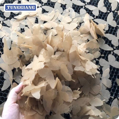 banner-gioi-thieu-tung-giang-1001 (1)