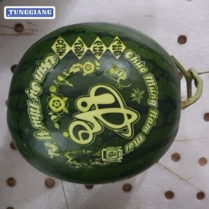 Cat-khac-laser-chu-tho-tren-dua-hau-001