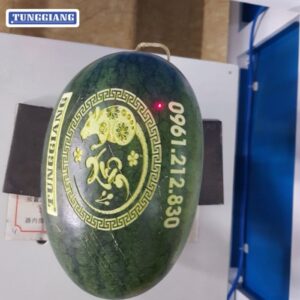 Cat-khac-laser-chu-xuan-tren-dua-hau-001