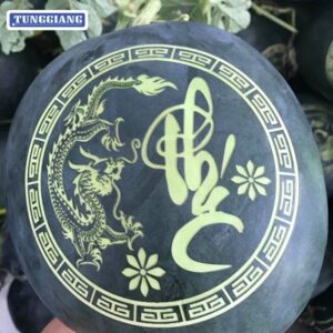 Cat-khac-laser-tren-dua-dau-001